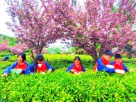 竹坪乡：茶园劳动课 收获喜与乐