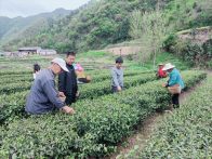 楼台乡:“农民学校”入田间 护航产业促增收