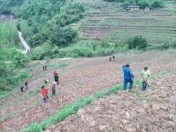 楼台乡：发展农业产业 壮大集体经济