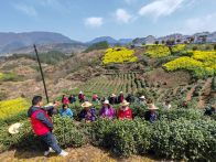 秦古镇：多措并举助推“农民学校”提质增效