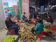 双台乡：邻里互助剥笋显真情 文明乡风暖人心