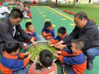 县实验幼儿园：幼儿剥豌豆体验劳动之趣