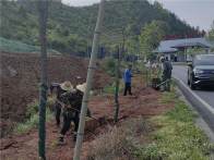 秦古镇：乡村植新绿 振兴正当时