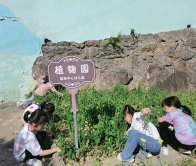 柳林乡中心幼儿园开展迎“五一”主题教育