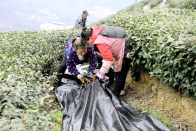 县农业农村局：打好“组合拳” 推动“党建+”品牌创建