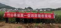 县农业农村局：“一促四防”效果好，助力油菜保丰收