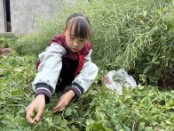 双坝小学：劳动作业促成长