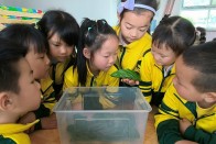 宝丰镇中心幼儿园：“蚕”绕童心 美好相遇