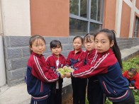 秦古镇大溪小学：剥豌豆 庆丰收 