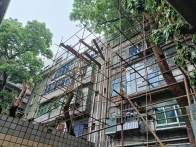 城关镇大街社区：砍伐危树除隐患，安全护行解民忧