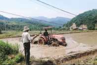 深河乡：奏响春耕生产曲 绘就农业好“丰”景