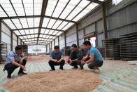 柳林乡：打造乡级规模企业  引领全乡经济发展