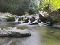 柳林乡：当好“三员”推动项目建设“加速跑”