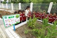 宝丰镇第二幼儿园：种植区里“蔬”香满园