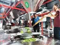 文峰乡：万斤大叶茶开工投产