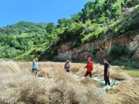 楼台乡：田间地头宣传忙 筑牢禁烧防火墙