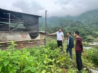 楼台乡：开展专项检查 筑牢生态防线