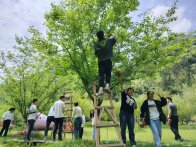 文峰乡：举办青梅酿酒节 助推文农旅融合发展