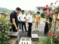 擂鼓镇西河村和美乡村试点顺利通过省专班验收