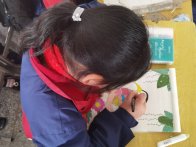宝丰镇双坝小学：体音美“悦”课堂赋能“快乐成长”