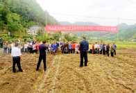 县农业农村局开展玉豆带状复合种植模式培训