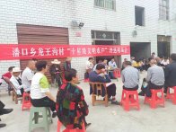 潘口乡：文明婚俗与时俱进  移风易俗沁润民心