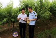 县农业农村局：民法典宣传进果园