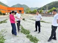 县工商联：下沉一线助振兴