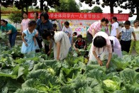 麻家渡镇营盘河小学：快乐“六一” 温暖相伴